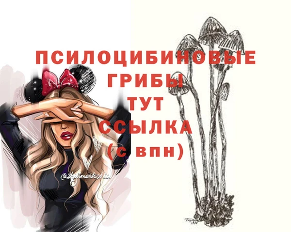 mdpv Верея