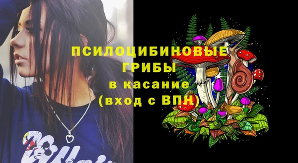 трава Верхний Тагил