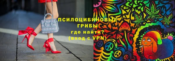 mdpv Верея