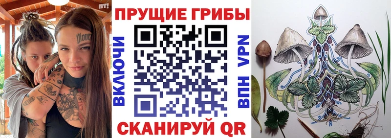 как найти   Улан-Удэ  Псилоцибиновые грибы Psilocybine cubensis 